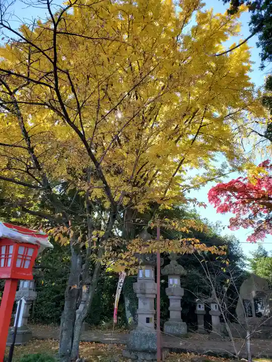 神炊館神社 ⁂奥州須賀川総鎮守⁂(福島県)