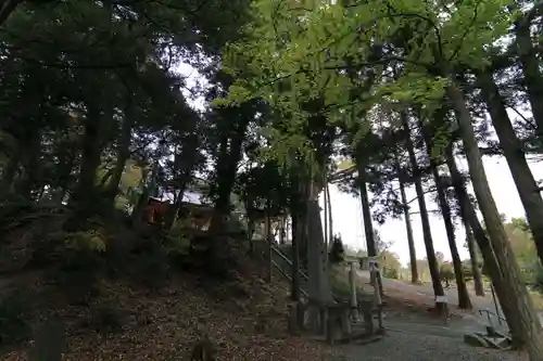 阿久津「田村神社」（郡山市阿久津町）旧社名：伊豆箱根三嶋三社の庭園