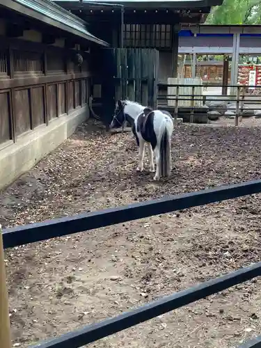 平塚八幡宮(神奈川県)