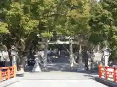 大麻比古神社の鳥居