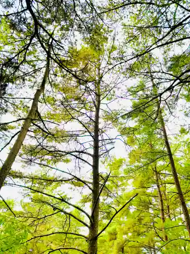 蚊里田八幡宮(長野県)