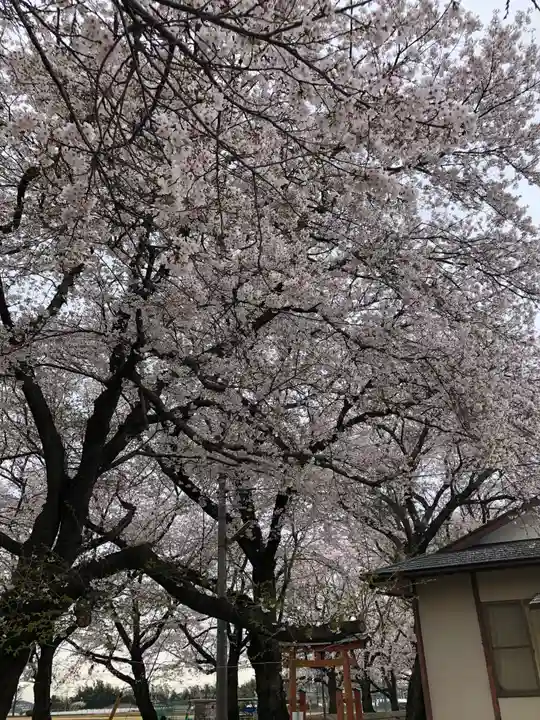 東蕗田天満社の自然