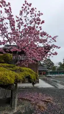 大歳神社(京都府)