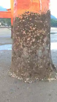 厳島神社のその他建物
