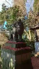 三祖神社奥宮の狛犬