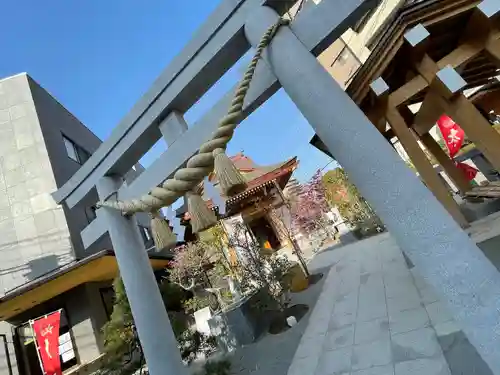 太上神社の鳥居