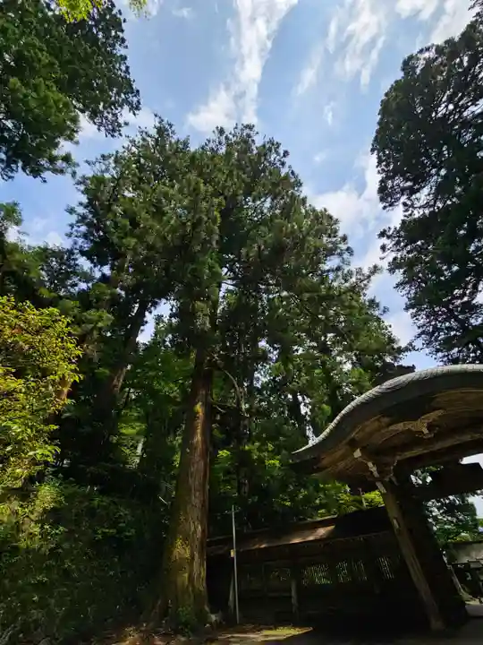 最乗寺(道了尊)(神奈川県)