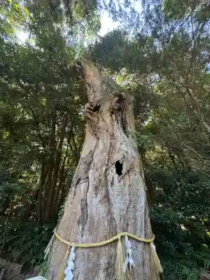 大山祇神社(愛媛県)