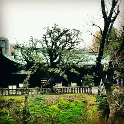 湯島聖堂のその他建物