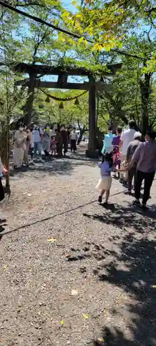 天鷹神社のお祭り