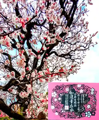 『桜舞う 切り絵 箔押し』御朱印(黒)3月•4月

「不染世間法 如蓮華在水」
蓮が泥沼の中にあっても美しい花を咲かせるように､人は汚れた世俗を生きていても､それに染まらず清廉な生き方を貫く事ができる。
ー『妙法蓮華経 従地湧出品第十五』よりー
