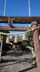 飯玉神社の鳥居