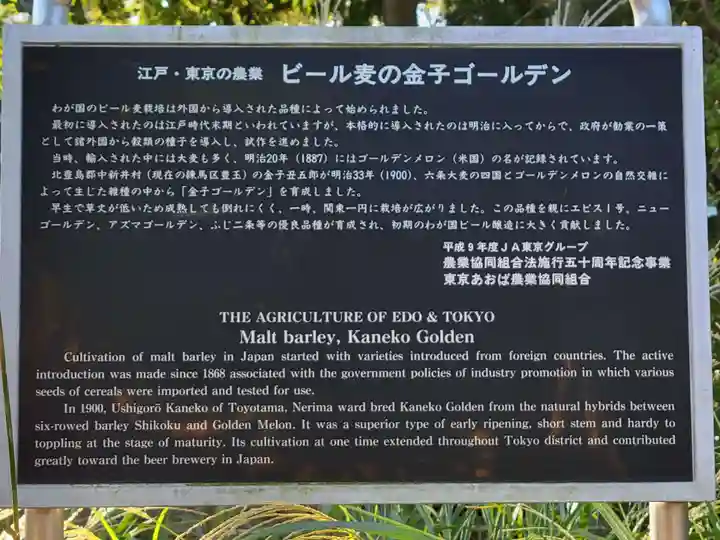 豊玉氷川神社の歴史