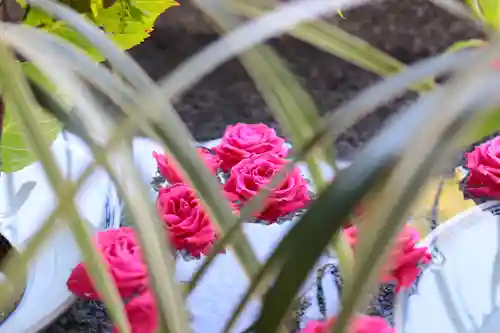 三津厳島神社の手水舎