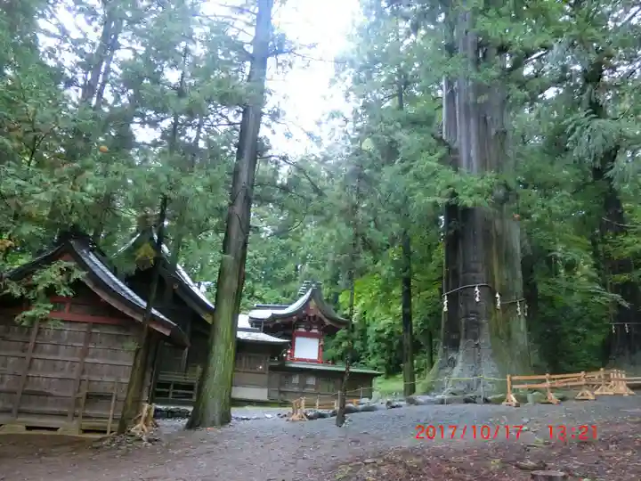 河口浅間神社(山梨県)