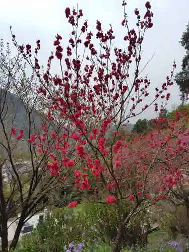 常鑑寺(群馬県)