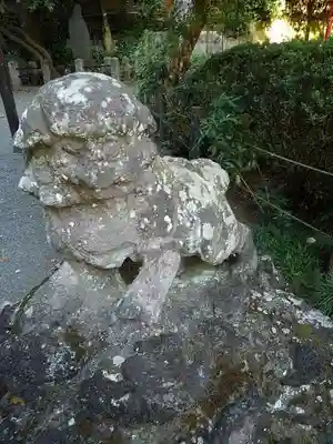 貫井神社の狛犬