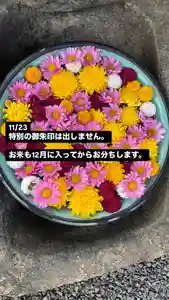 大鏑神社(福島県)(2024年11月22日(金) 15時19分09秒投稿)