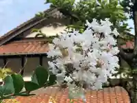 木舟山 順教寺(広島県)