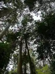 高鴨神社(奈良県)