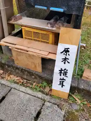 氷室山神社(里宮)(栃木県)