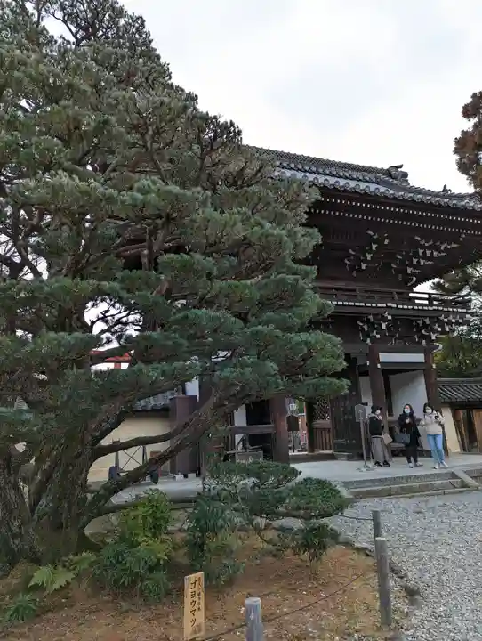 梅宮大社の山門・神門