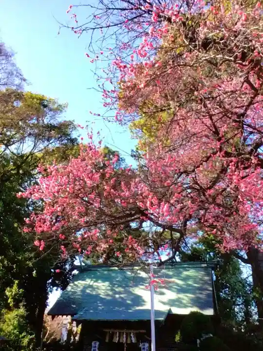 田端神社(東京都)