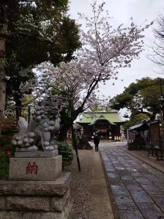 菊田神社の自然