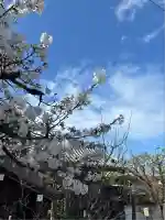 延命寺(神奈川県)