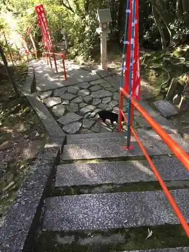 朝護孫子寺の動物