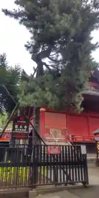 清水観音堂(東京都)