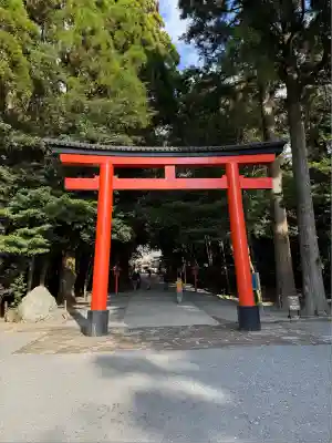 霧島神宮(鹿児島県)