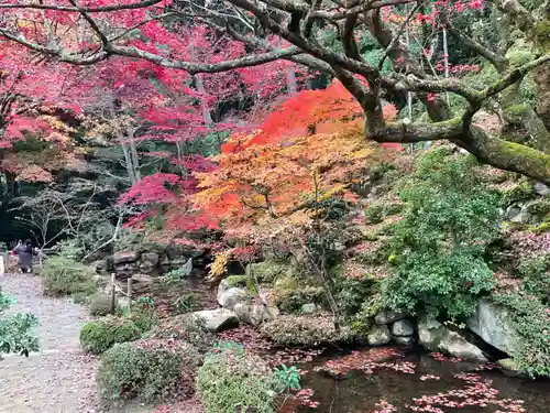 金剛輪寺の庭園