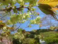 毘沙門堂門跡(京都府)