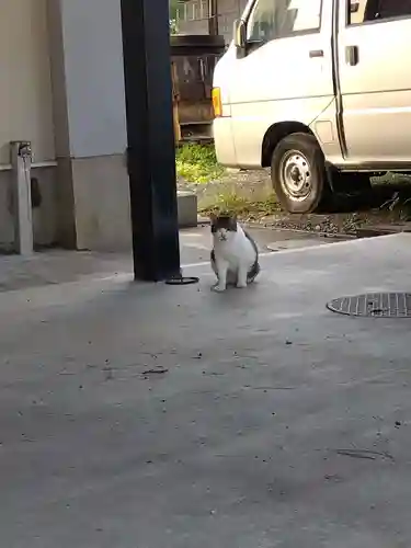 正覚寺(福井県)