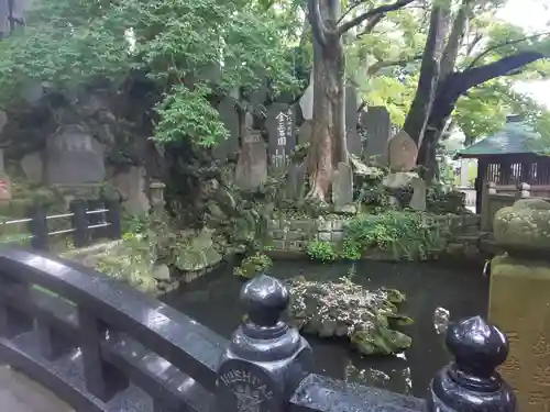 成田山新勝寺の庭園