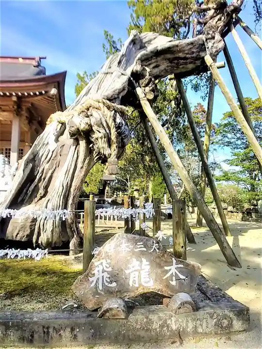 新北神社の自然