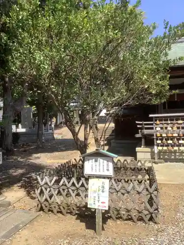 上地八幡宮の庭園