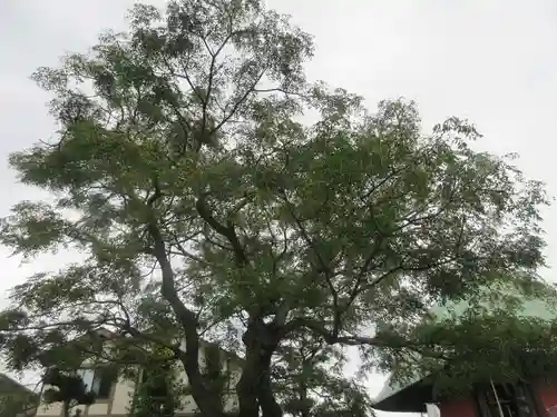 本覚寺(神奈川県)