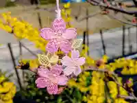 日本唯一香辛料の神 波自加彌神社(石川県)