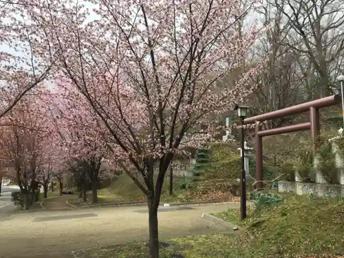 厚別神社の自然