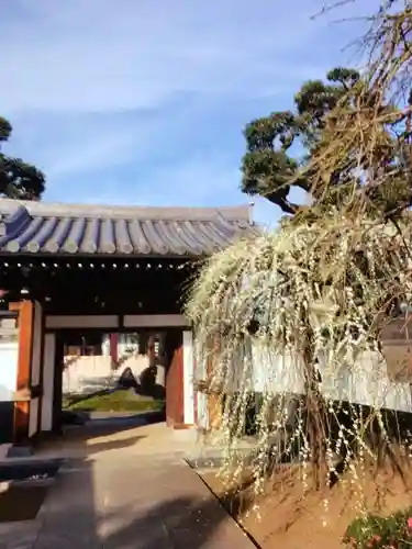 圓照寺(東京都)