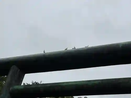 靖國神社(東京都)