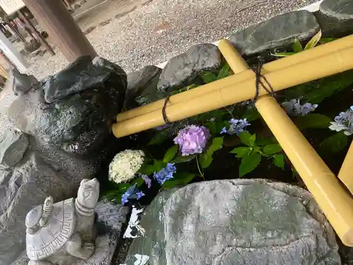 櫻木神社の手水舎