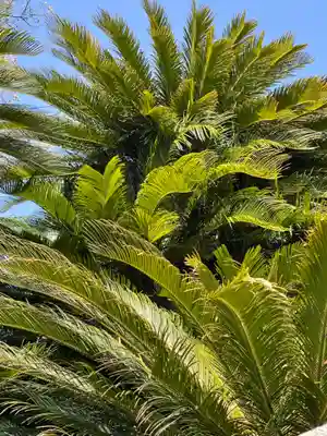 賀茂神社(兵庫県)
