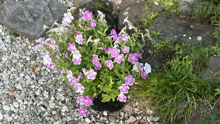 仙台大神宮の自然