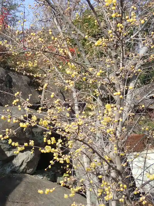 横浜 西方寺(神奈川県)