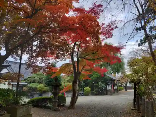 日高神社の庭園
