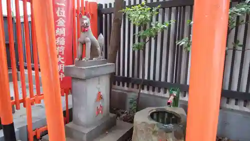 金綱稲荷神社の狛犬