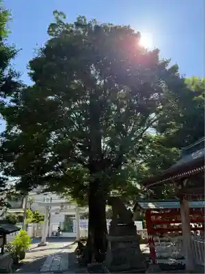 滝野川八幡神社(東京都)